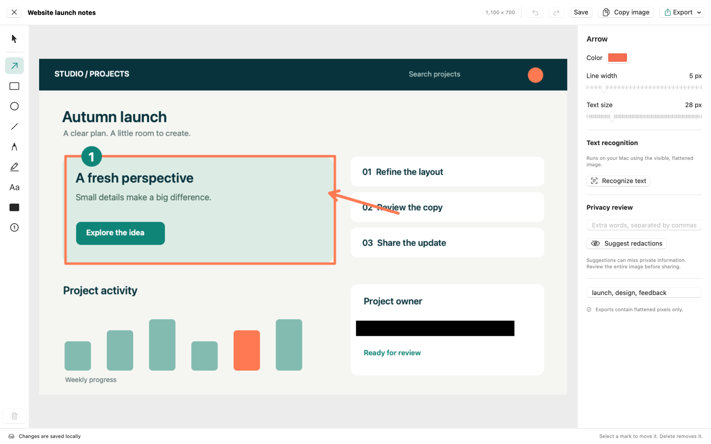 MainSnap · Explain at a glance.